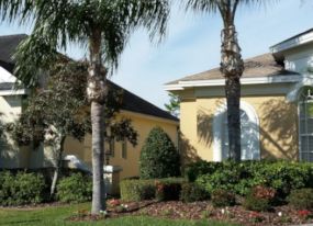 Landscaping Lakeland FL